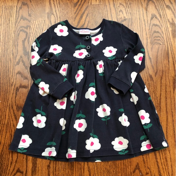 Hanna Andersson Other - Hanna Andersson Floral Skater Dress